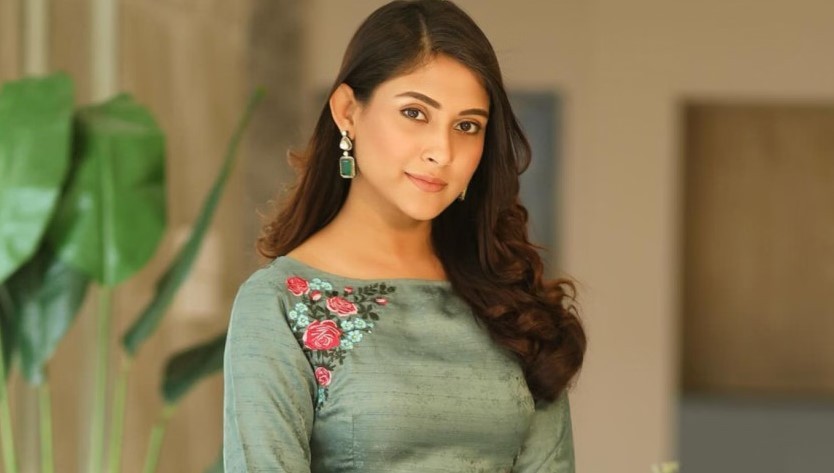 মেহজাবীন চৌধুরীর বিরুদ্ধে গ্রেপ্তারি পরোয়ানা জারি